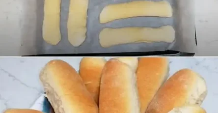 panini soffici all'olio