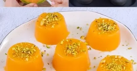 gelo di cantalupo